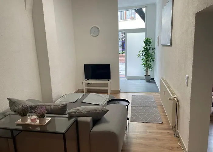 Schoene Mitten In Linz * לינץ אם ריין