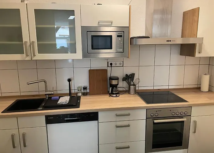 Schoene Mitten In Linz לינץ אם ריין